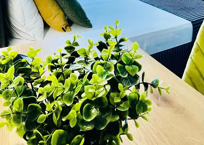 Agata Boutique -adult Only 3*